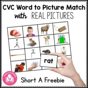 CVC Picture Word Matching Cards with Real Pictures FREEBIE
