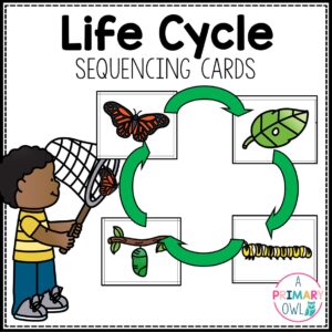 Life Cycle Sequencing Cards and Worksheets