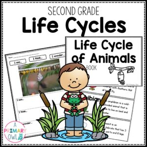 Life Cycles Unit Second Grade Sequencing Cards STEM Projects Mini Books