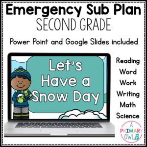 Snow Day Digital Sub Plans