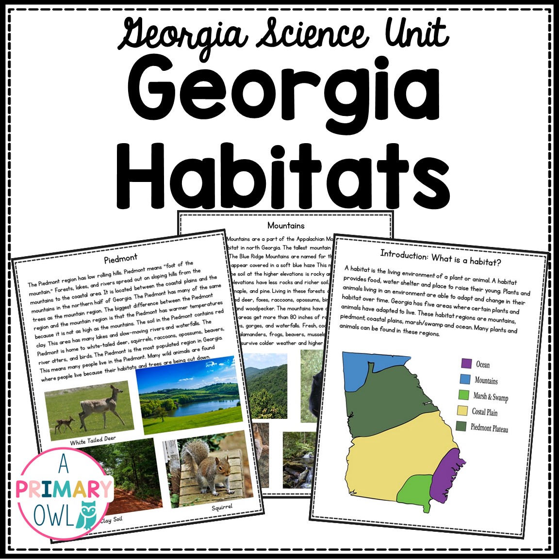 Habitats 3rd Grade Science Unit A Primary Owl